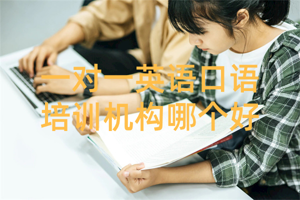一对一英语口语培训机构哪个好