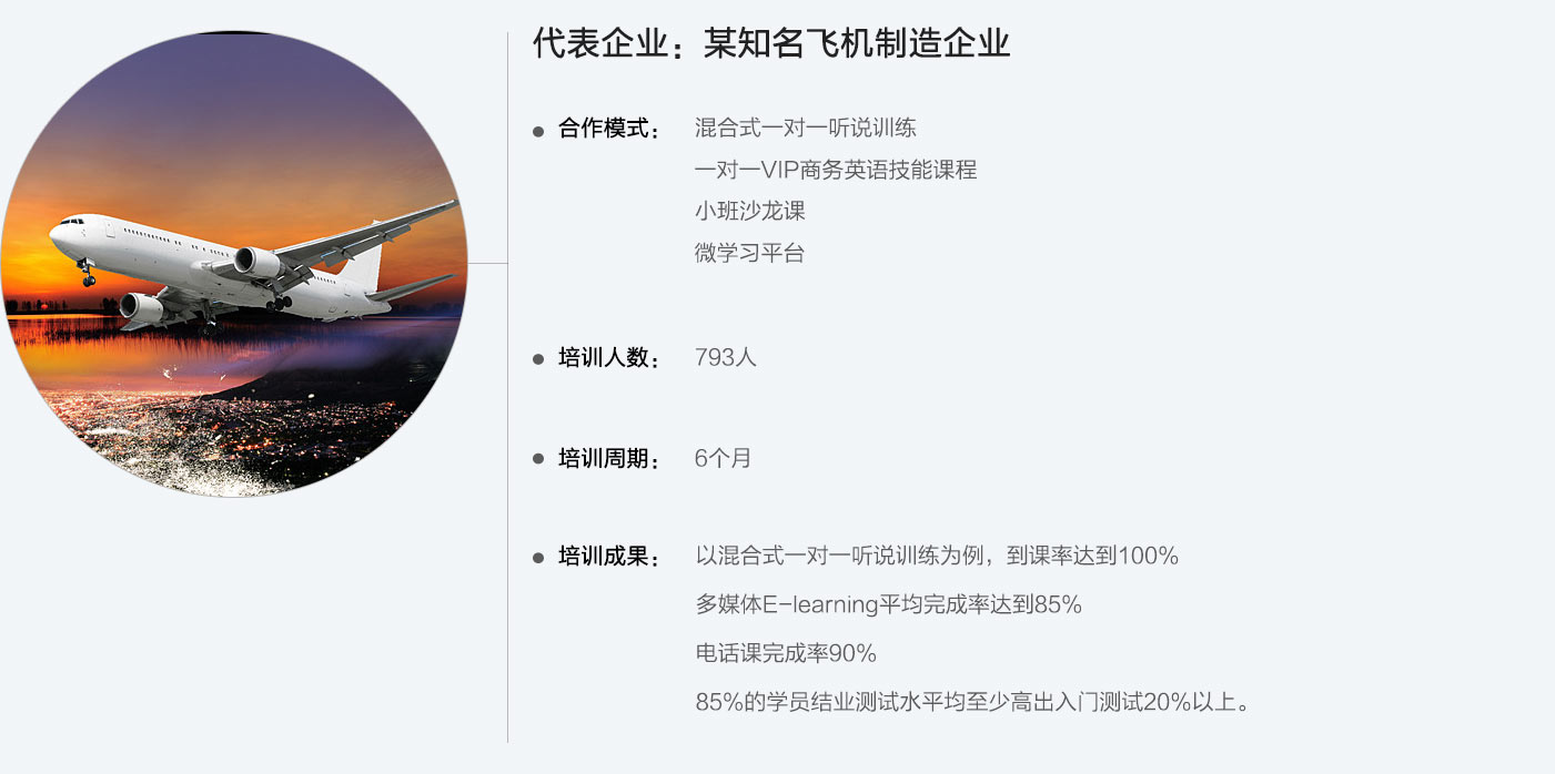 代表企业：某知名飞机制造企业